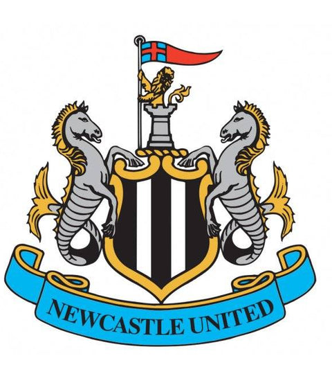 Newcastle Confirm Krul Out, Endorsee Rob Elliot to be in Action for the next 5-6 Weeks